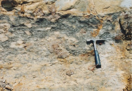 Glossifungites erosional surface association at Miocene Outrcop of Samarinda Area